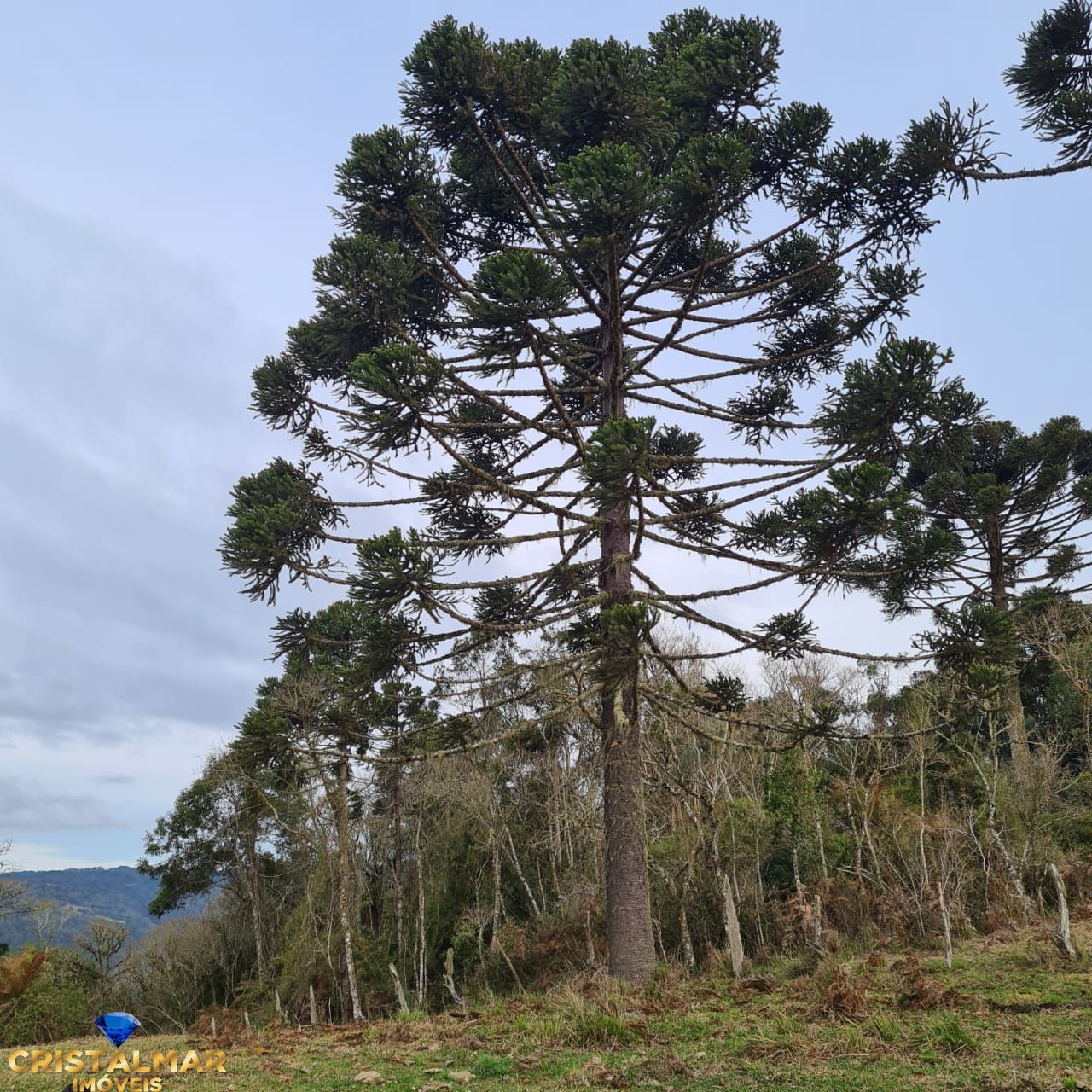 Loteamento e Condomínio à venda, 40000m² - Foto 18