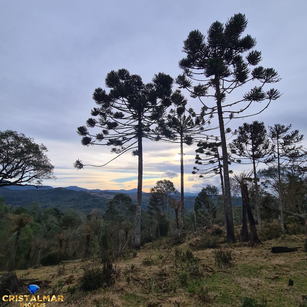 Loteamento e Condomínio, 4 hectares - Foto 1