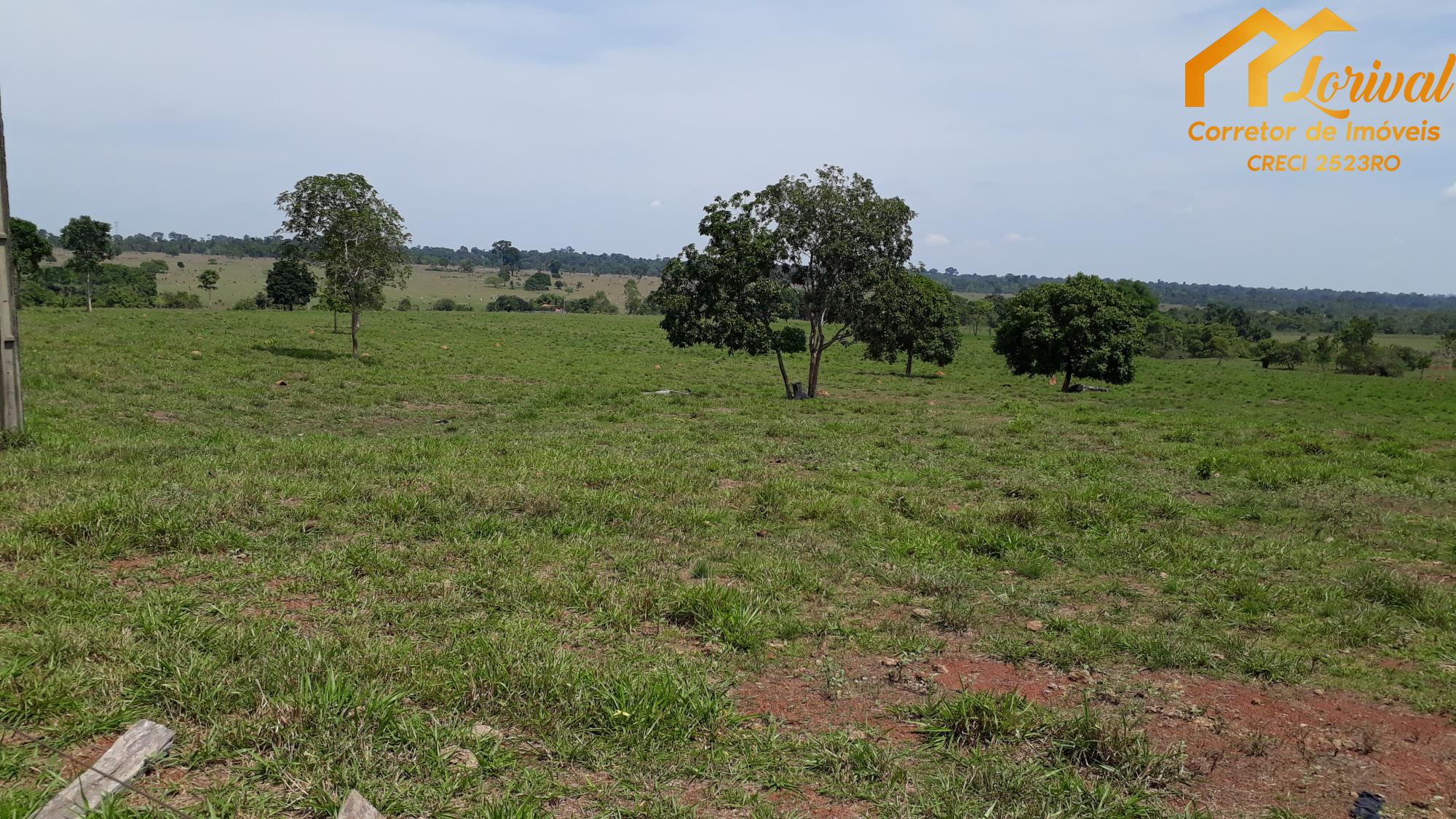 Fazenda à venda, 24200000000m² - Foto 24