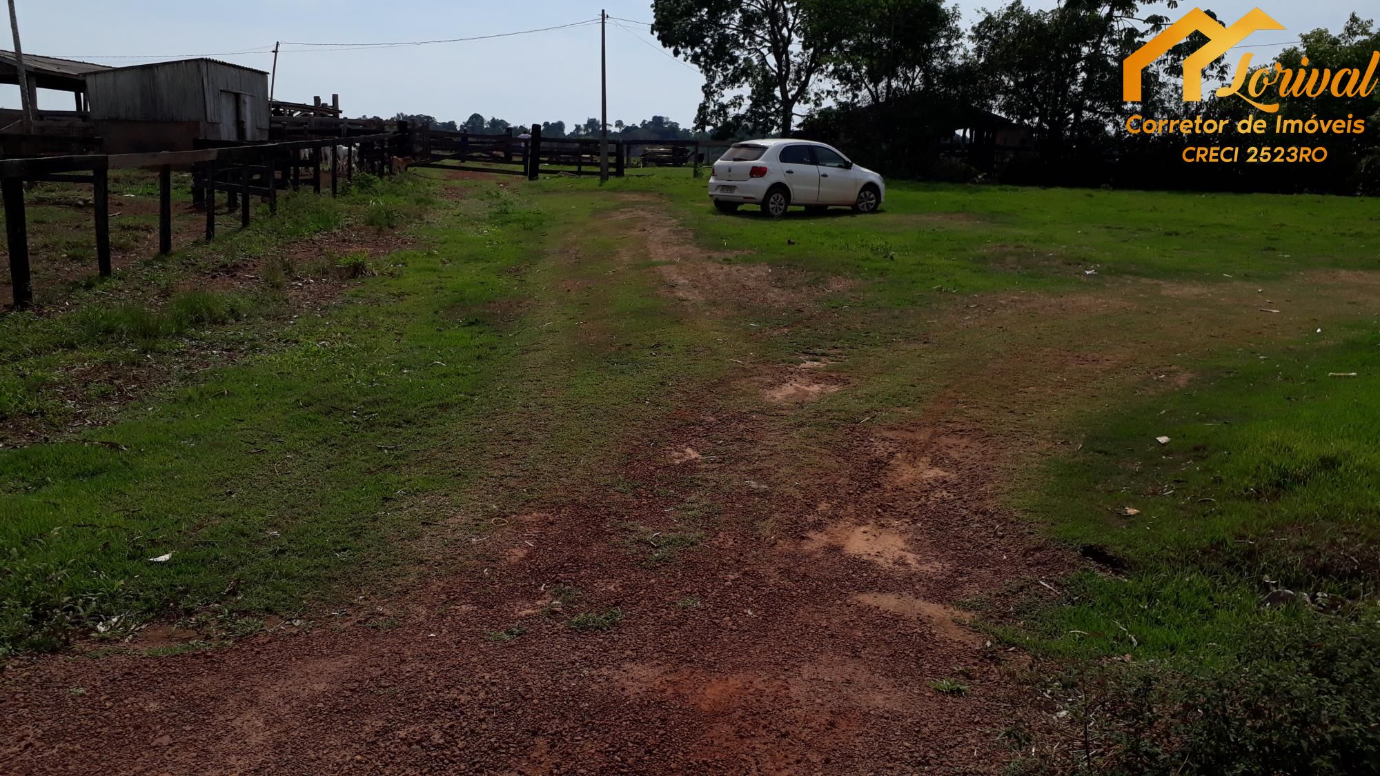 Fazenda à venda, 24200000000m² - Foto 12