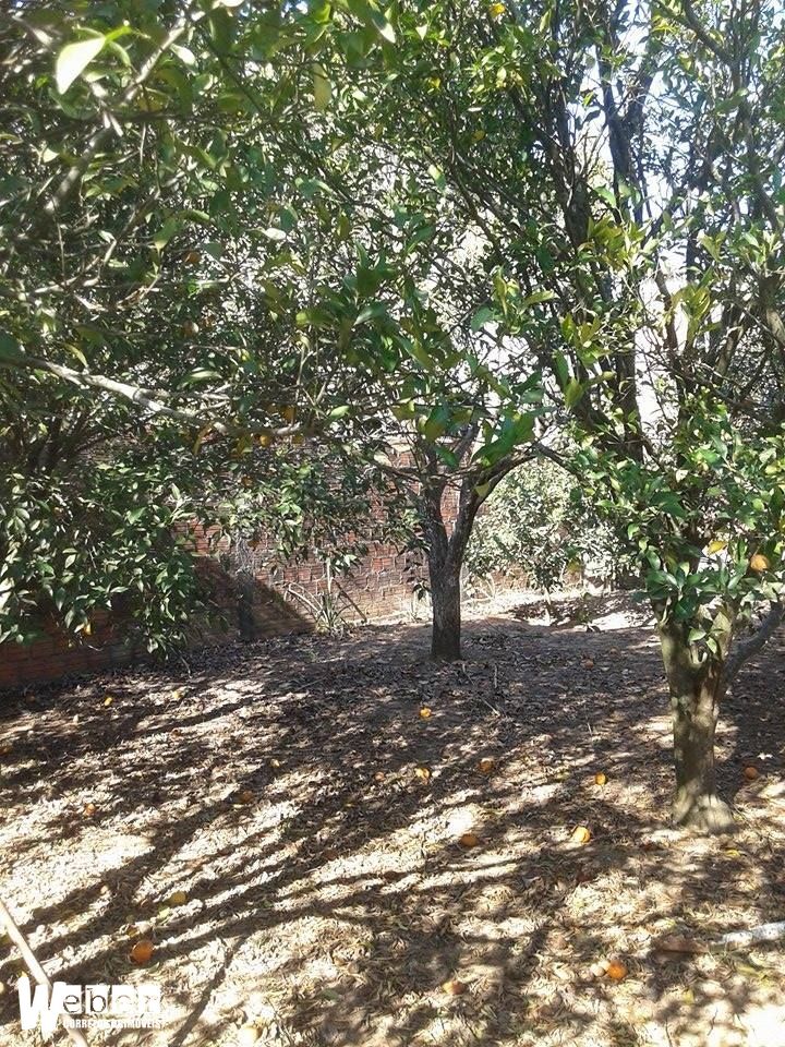 Casa, 4 quartos, 275 m² - Foto 33