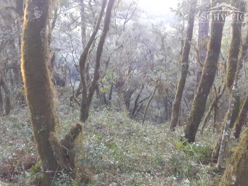 Terreno, 1000 m² - Foto 8