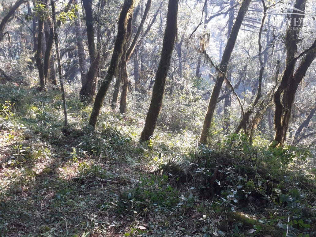 Terreno, 1000 m² - Foto 6