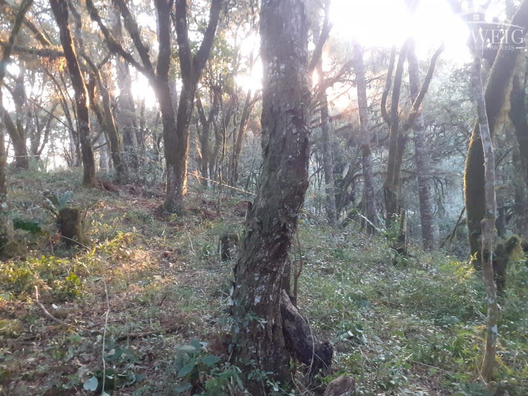 Terreno, 1000 m² - Foto 3