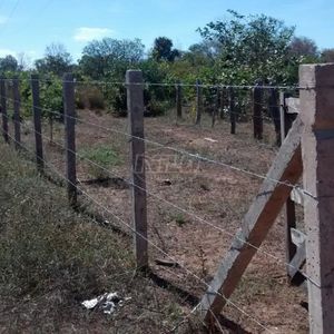 2675 hectares no Piauí