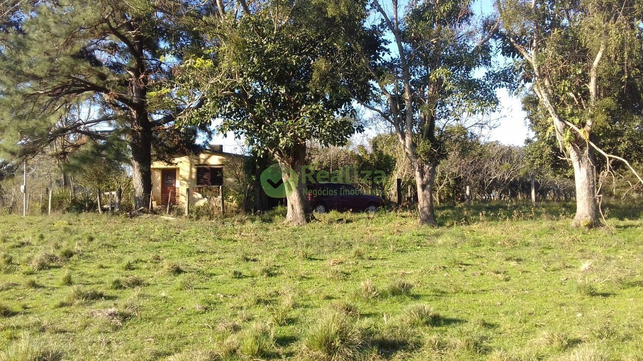 Fazenda à venda com 4 quartos, 45000m² - Foto 18