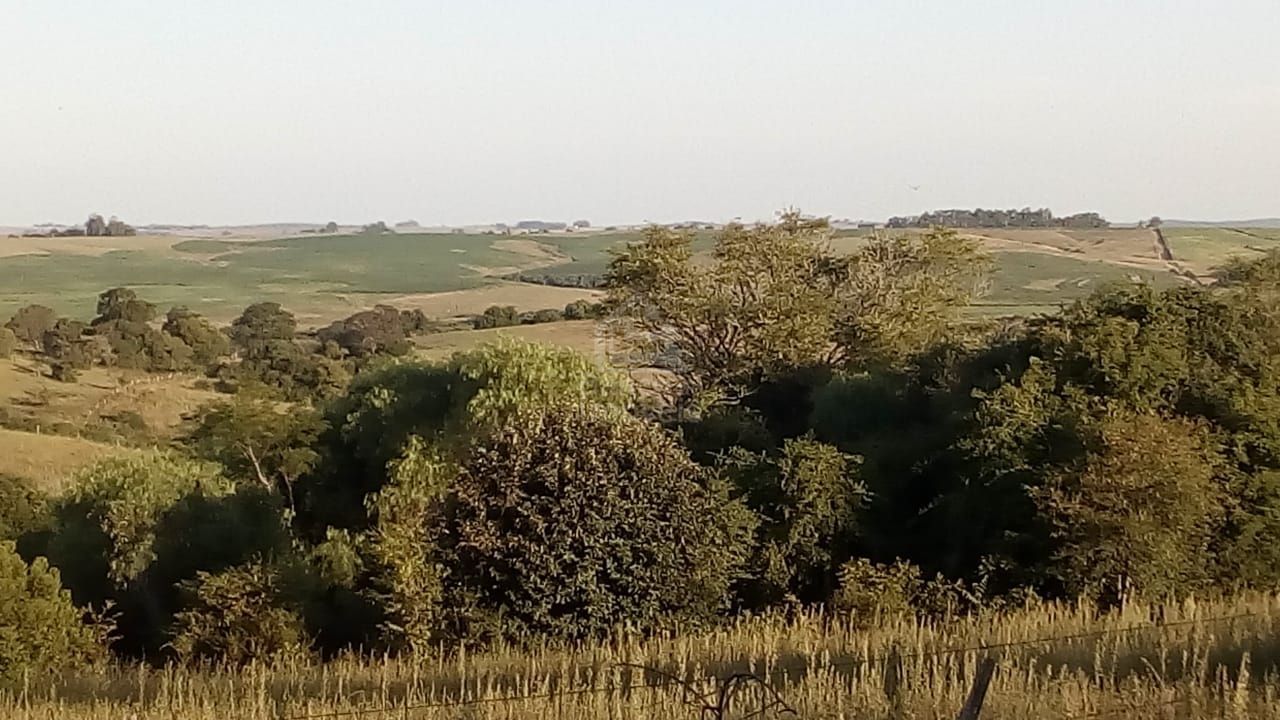 Fazenda à venda com 3 quartos, 100000m² - Foto 14