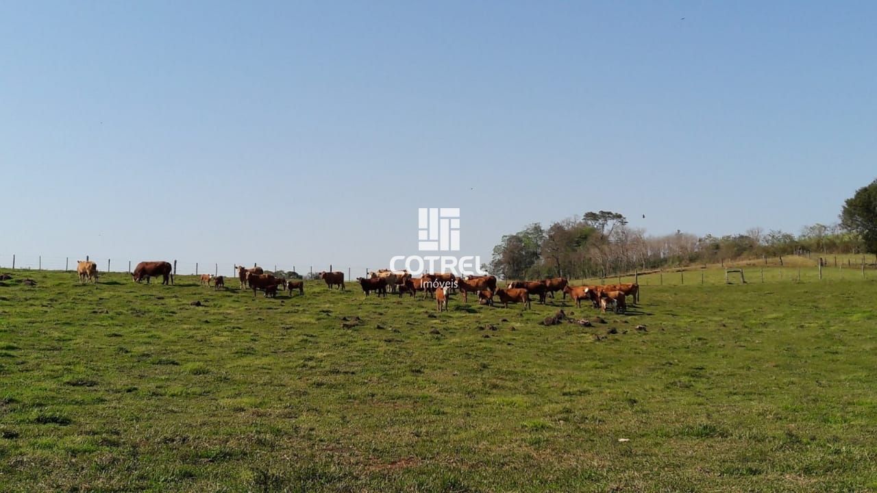 Chácara 38 hectares em Erval do Seco /RS
