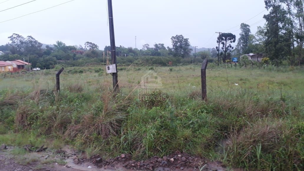 Terreno/Lote  venda  no Dicono Joo Luiz Pozzobon - Santa Maria, RS. Imveis