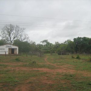 2675 hectares no Piauí