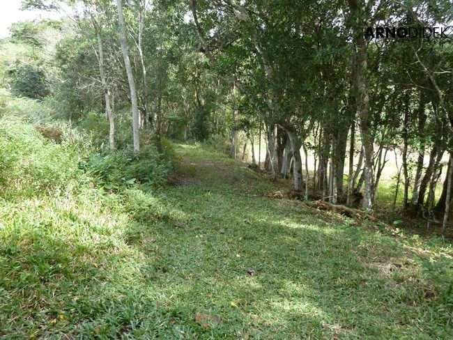 Terreno, 17 hectares - Foto 68