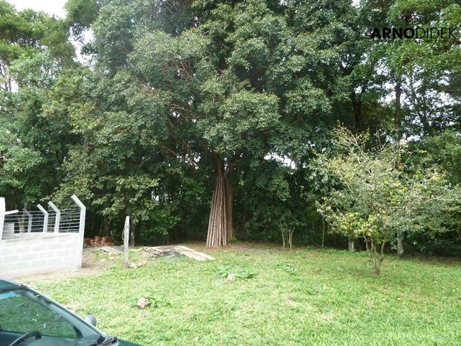 Terreno, 17 hectares - Foto 34