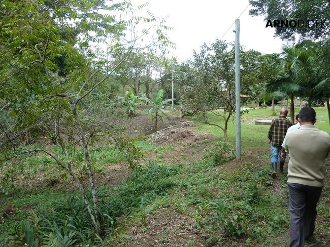 Terreno à venda, 170000m² - Foto 30