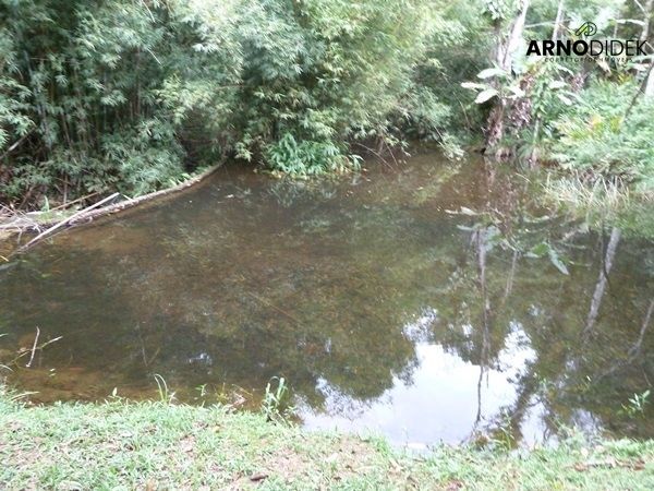 Terreno, 17 hectares - Foto 48