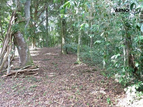 Terreno, 17 hectares - Foto 54