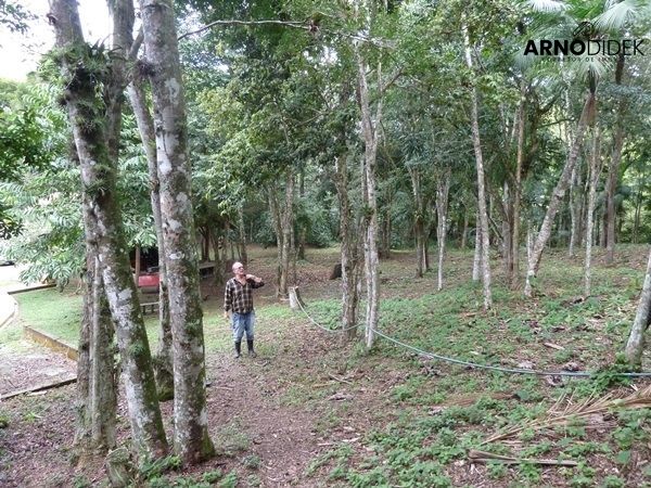 Terreno à venda, 170000m² - Foto 45