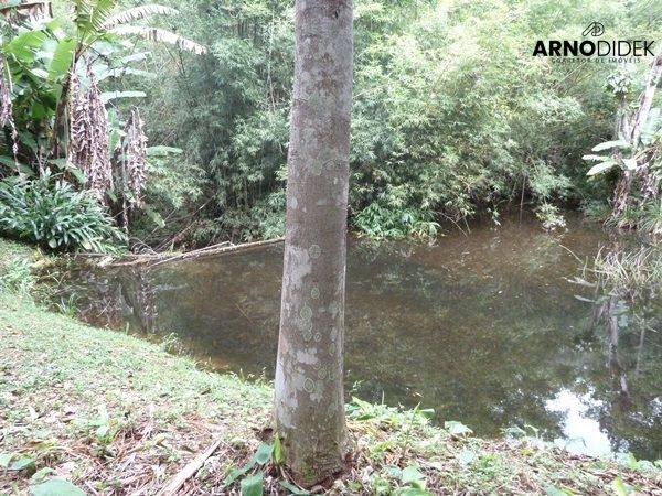 Terreno, 17 hectares - Foto 50