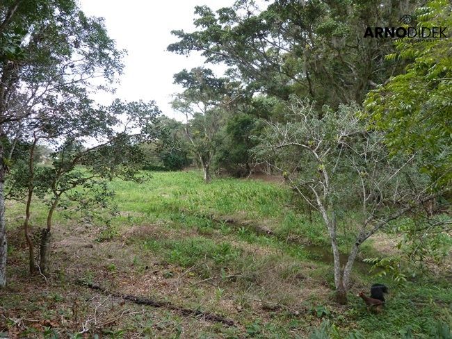 Terreno à venda, 170000m² - Foto 31