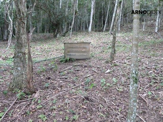 Terreno, 17 hectares - Foto 46