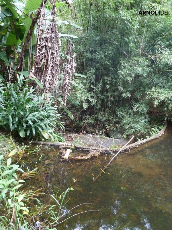 Terreno, 17 hectares - Foto 53