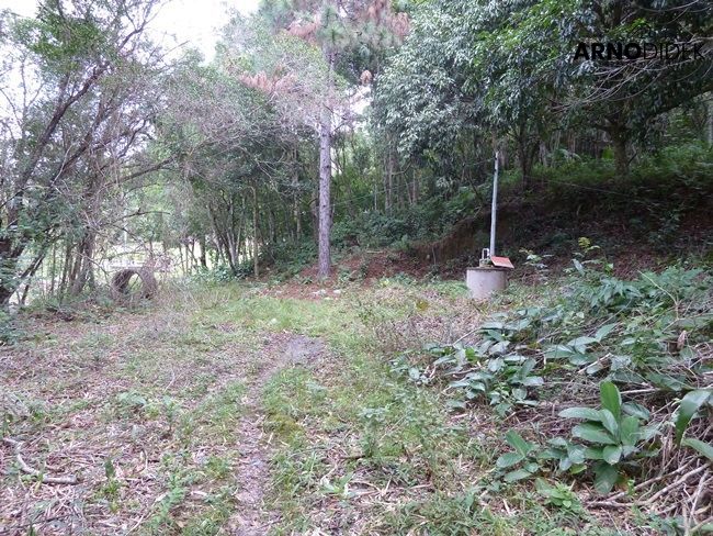 Terreno, 17 hectares - Foto 26