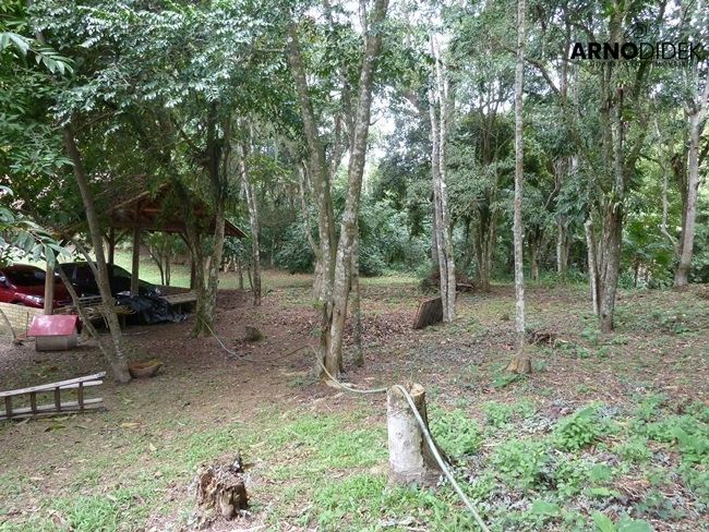 Terreno, 17 hectares - Foto 40