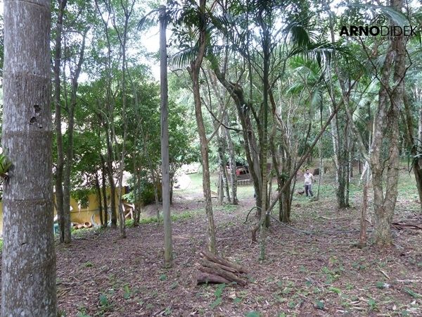 Terreno, 17 hectares - Foto 47