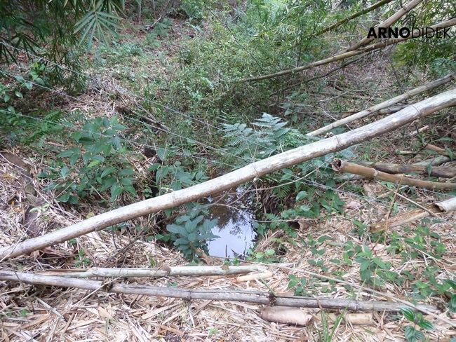 Terreno, 17 hectares - Foto 27