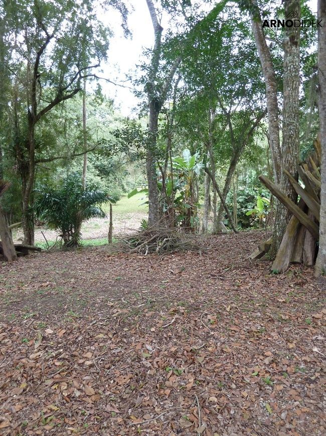 Terreno, 17 hectares - Foto 22