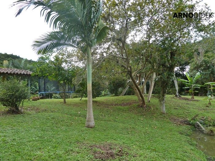 Terreno, 17 hectares - Foto 8