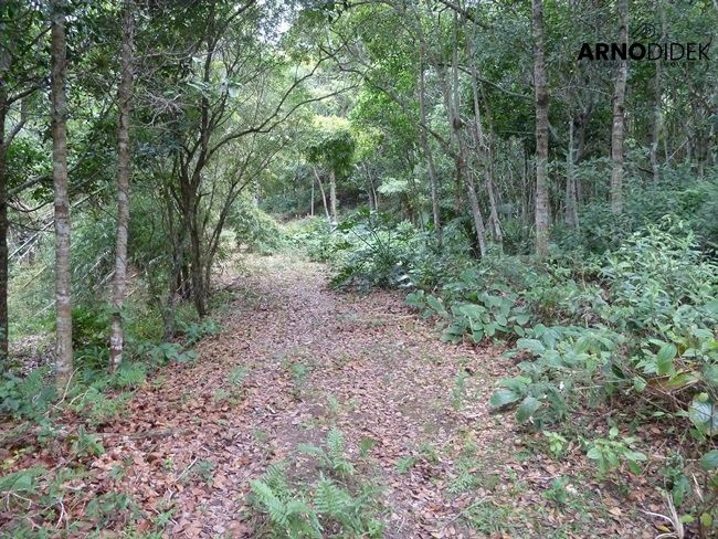 Terreno à venda, 170000m² - Foto 29