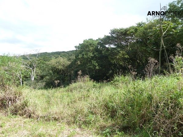 Terreno à venda, 170000m² - Foto 62