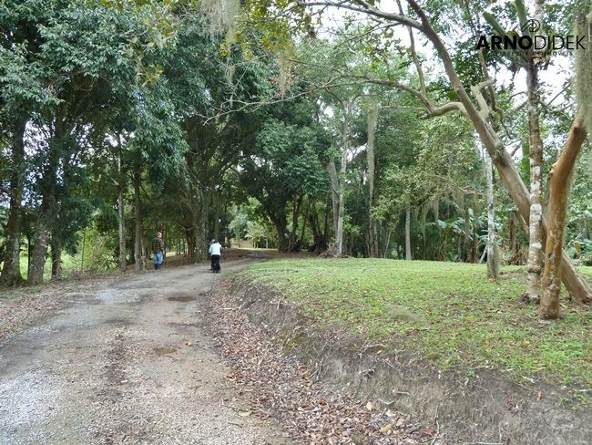 Terreno, 17 hectares - Foto 15