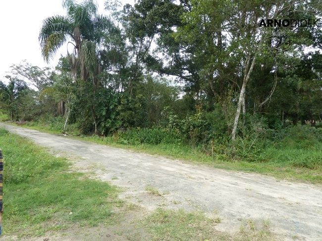 Terreno, 17 hectares - Foto 20