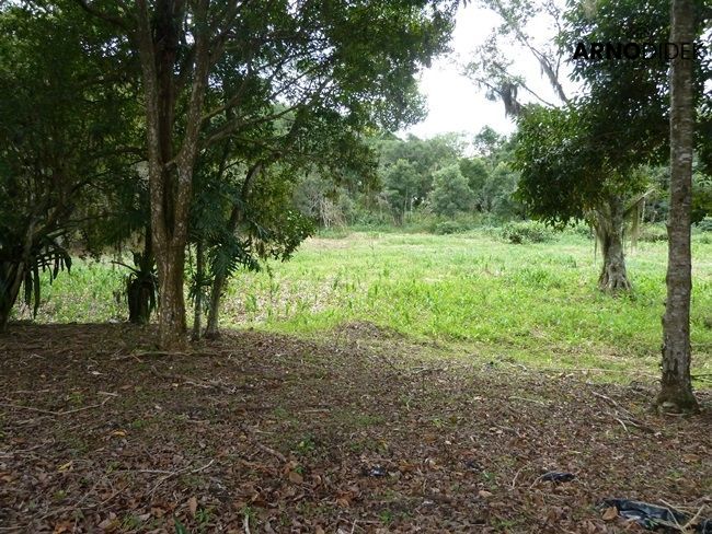 Terreno, 17 hectares - Foto 24