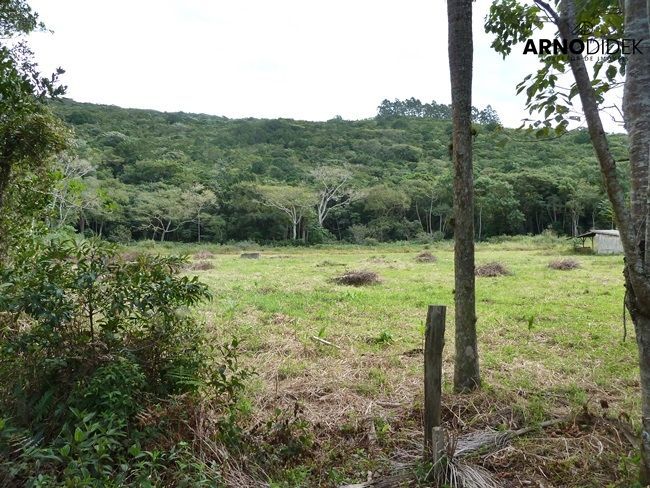 Terreno, 17 hectares - Foto 69