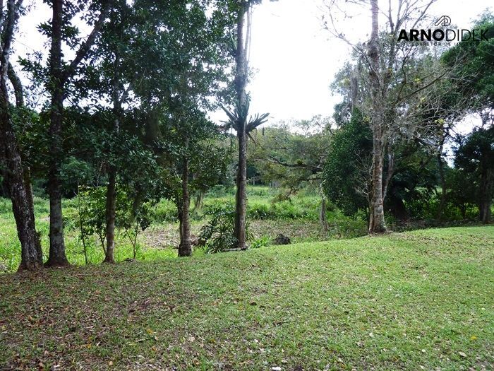 Terreno, 17 hectares - Foto 18