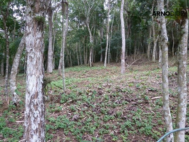 Terreno, 17 hectares - Foto 42