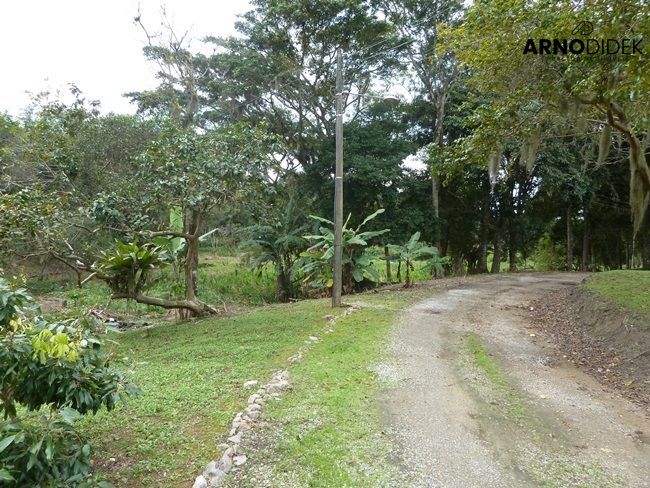 Terreno à venda, 170000m² - Foto 33