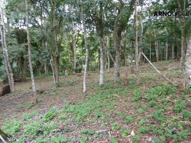 Terreno, 17 hectares - Foto 41