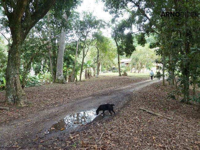 Terreno, 17 hectares - Foto 23