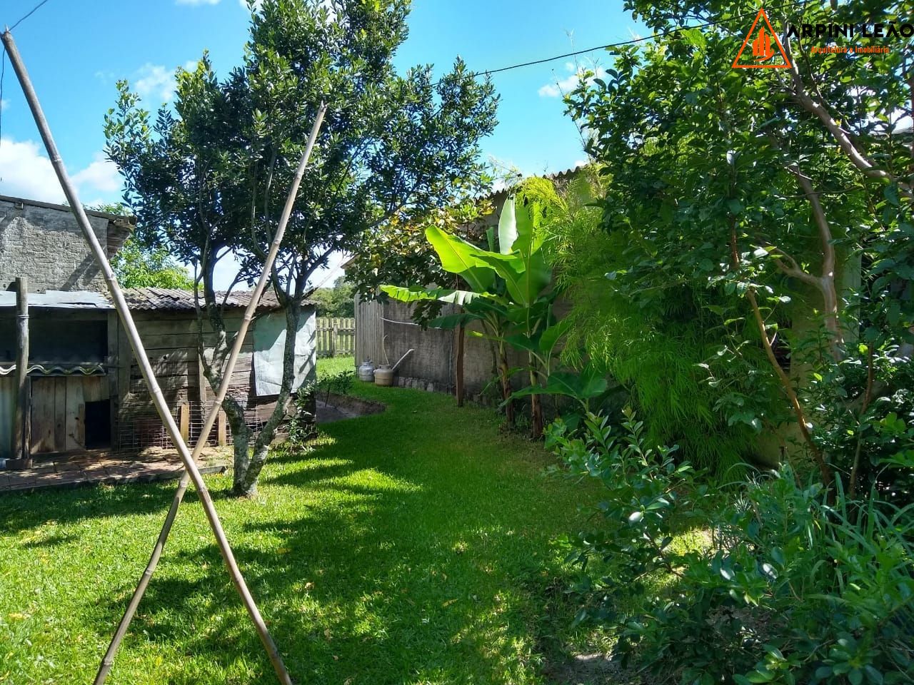 Sítio, 6 quartos, 2 hectares - Foto 14