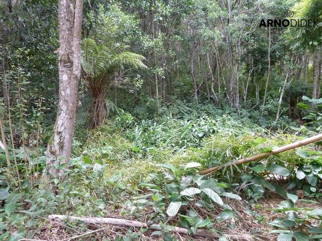 Terreno, 17 hectares - Foto 25