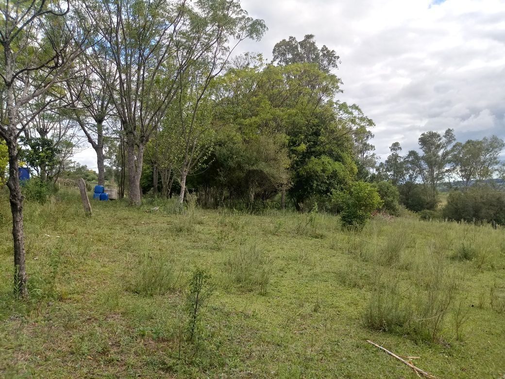 Terreno à venda, 5000m² - Foto 2