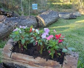 terreno-gramado-imagem