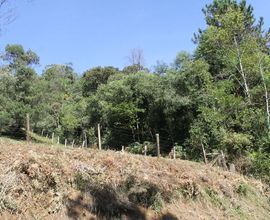 sitio-gramado-imagem