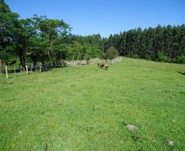 chacara-santa-maria-imagem