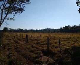 chacara-terra-nova-do-norte-imagem