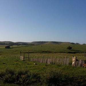 Chácara 40 Hectares em Alegrete