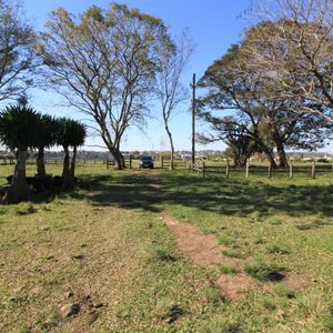 Área Rural de 36ha Alegrete - RS para Compra e Arrendamento!
